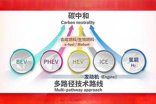 手感冰凉！罗伊斯-奥尼尔12中4三分5中2仅得10分